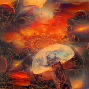 Hallucinogenic Mushroom